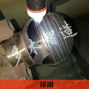 上海多木實業有限公司-成功案例